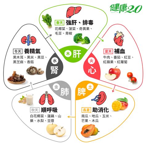 屬土的食物|五行五色挑食法，吃出抗病力｜健康2.